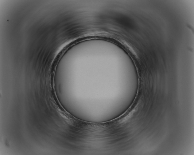 X0000097750830200803070840