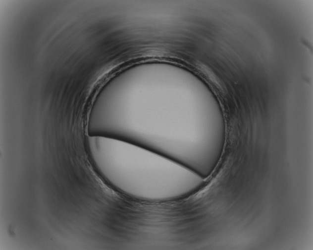X0000097750831200803070840