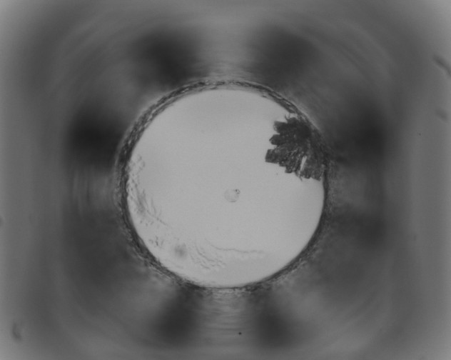 X0000097750832200803070840