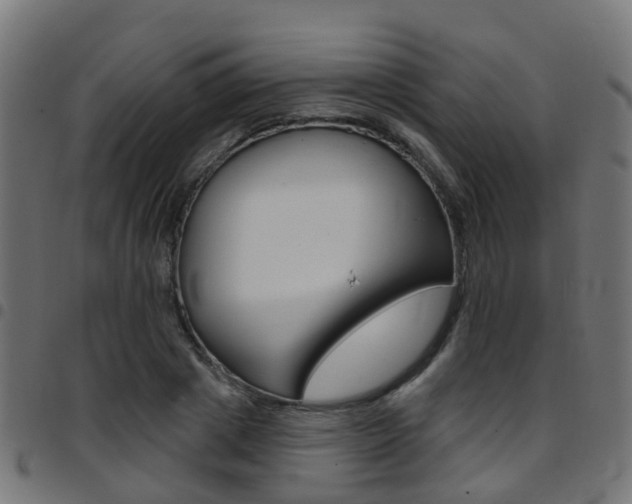 X0000097750833200803070840
