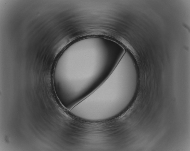 X0000097750834200803070840