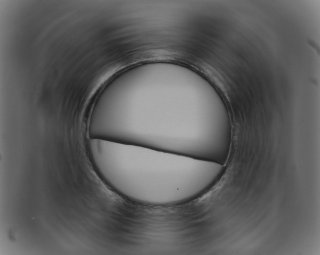 X0000097750835200803070840