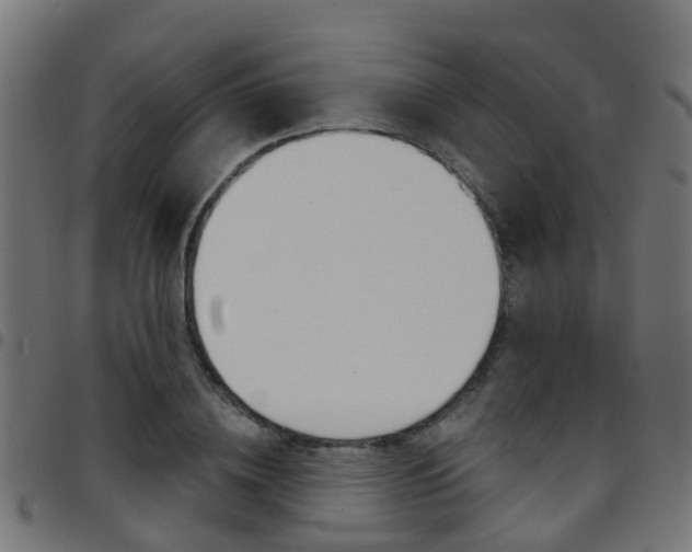 X0000097750836200803070840