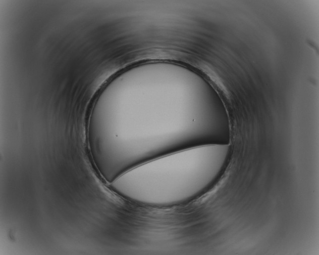 X0000097750837200803070840