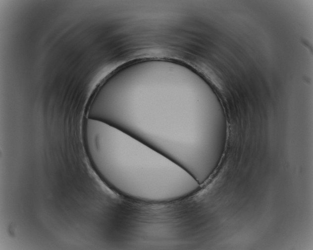 X0000097750839200803070840