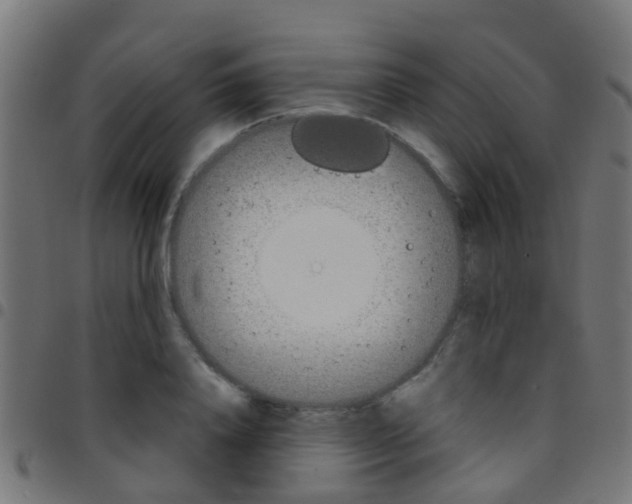 X0000097750840200803070840