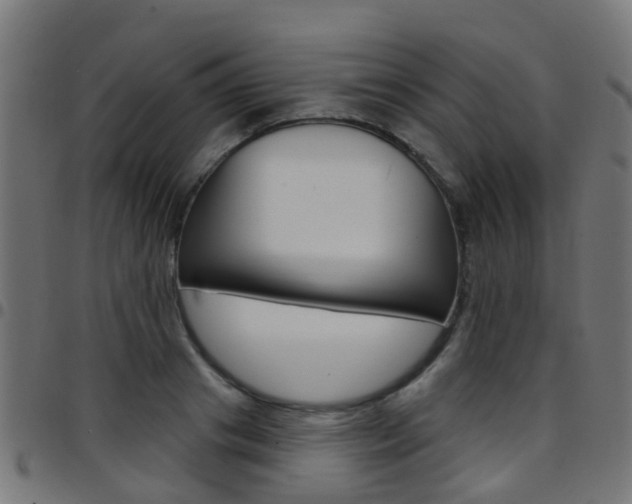 X0000097750841200803070840