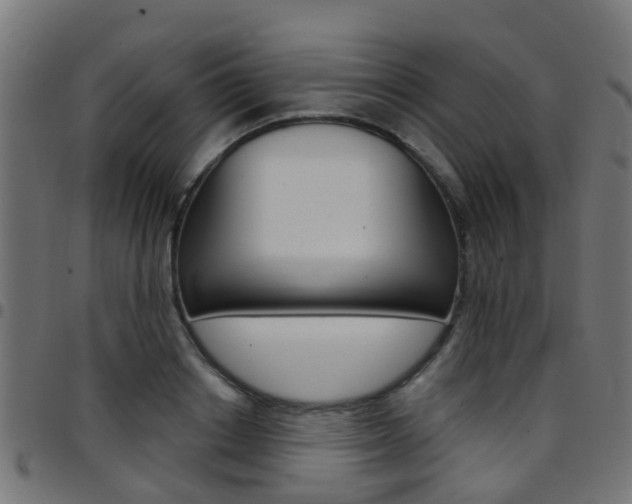 X0000097750842200803070840