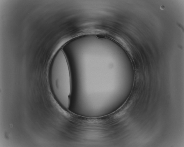 X0000097750843200803070840