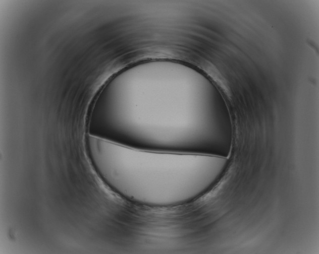 X0000097750845200803070840