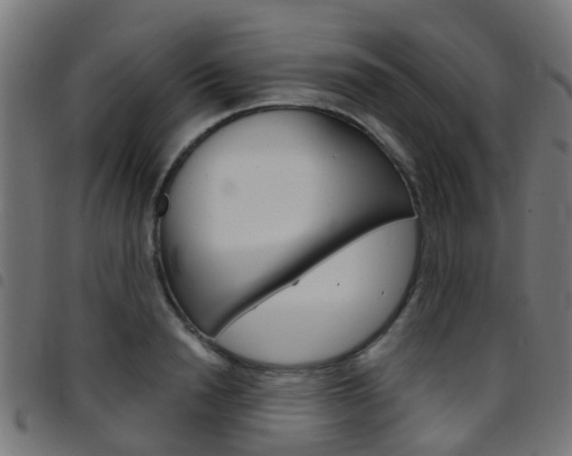 X0000097750846200803070840