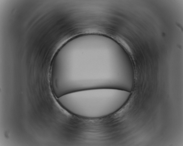 X0000097750847200803070840