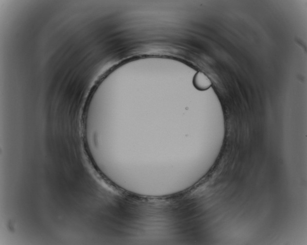 X0000097750848200803070840