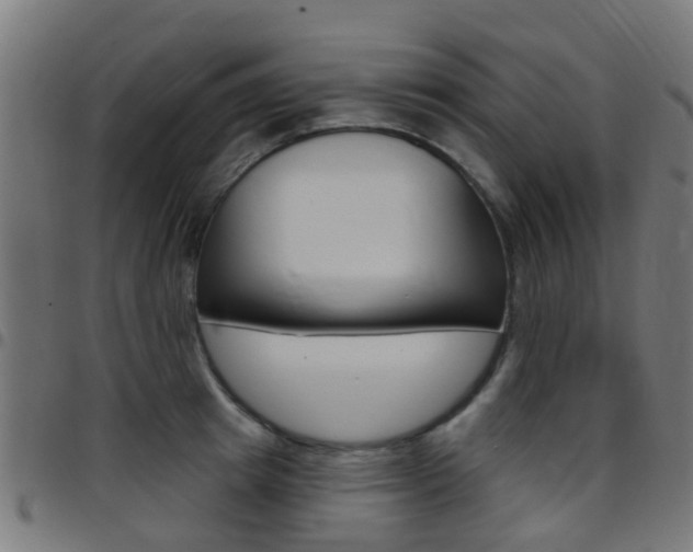 X0000097750849200803070840