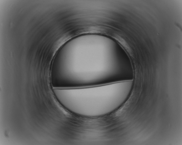 X0000097750850200803070840