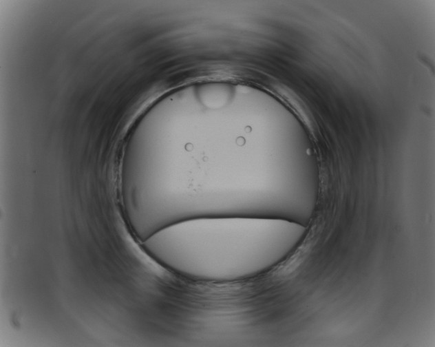 X0000097750851200803070840