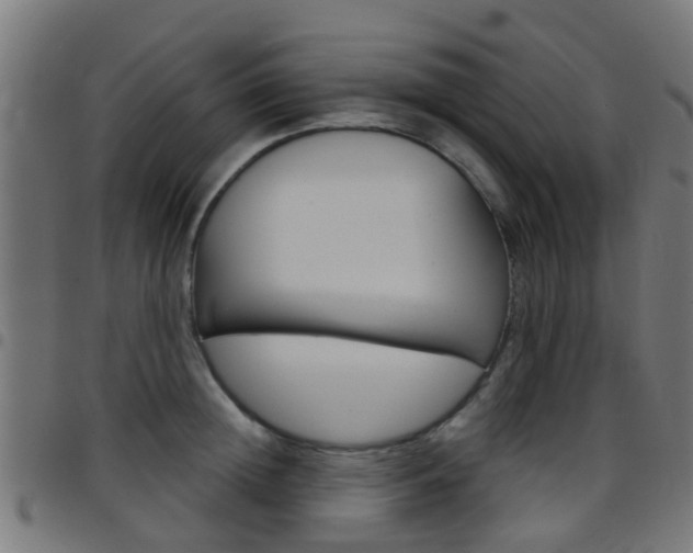 X0000097750852200803070840