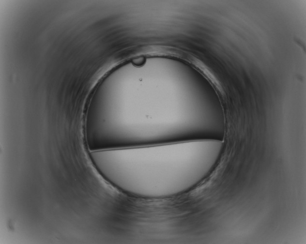 X0000097750853200803070840