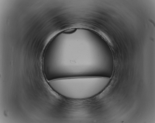 X0000097750854200803070840