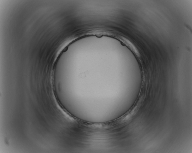 X0000097750855200803070840