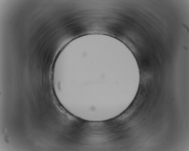 X0000097750856200803070840