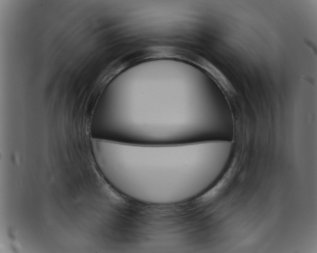 X0000097750857200803070840