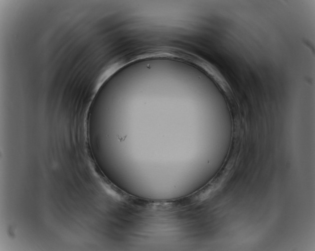 X0000097750858200803070840