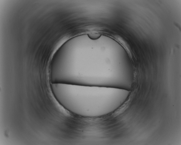X0000097750859200803070840