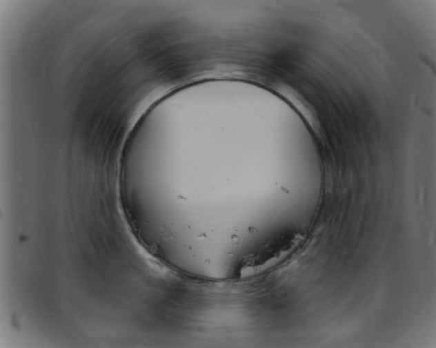 X0000097750861200803070840