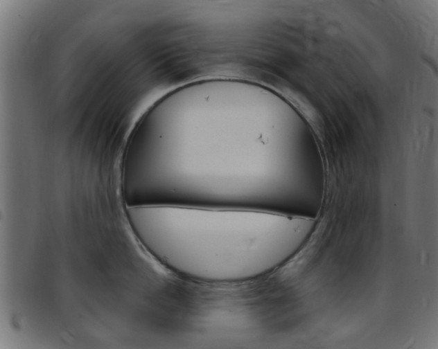 X0000097750862200803070840