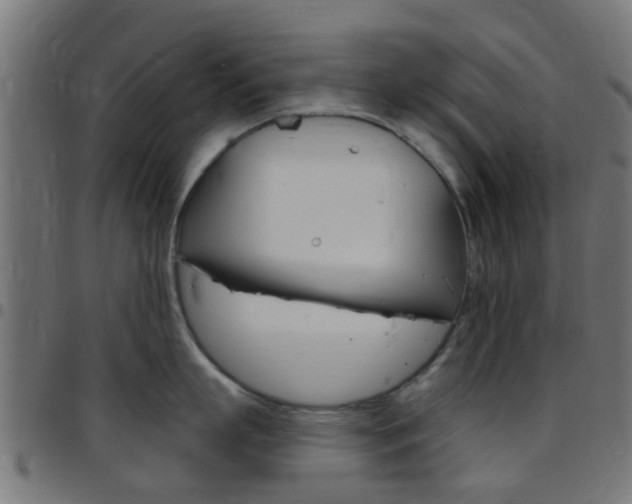 X0000097750863200803070840