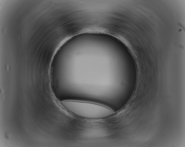 X0000097750864200803070840