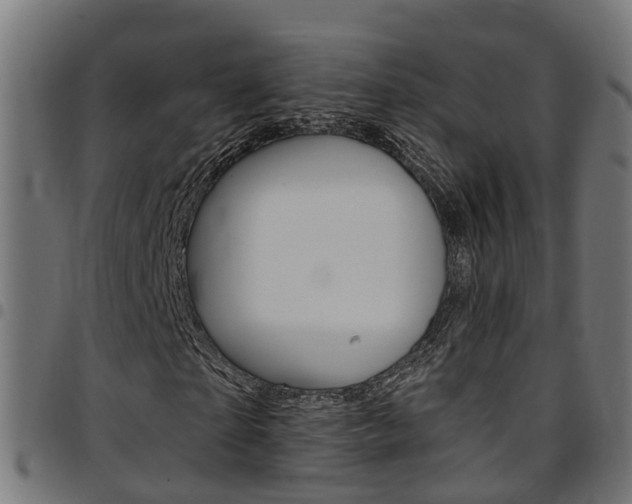 X0000097750865200803070840