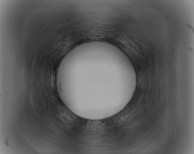 X0000097750866200803070840