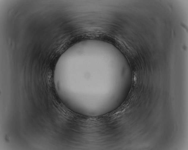 X0000097750867200803070840