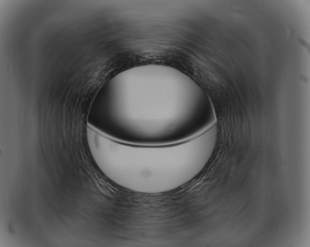 X0000097750868200803070840