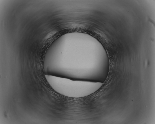 X0000097750869200803070840