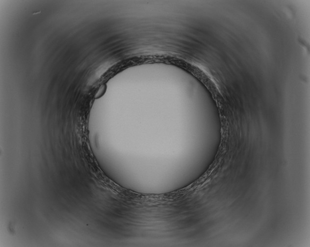 X0000097750871200803070840