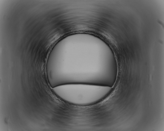 X0000097750873200803070840