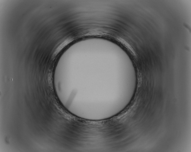 X0000097750874200803070840