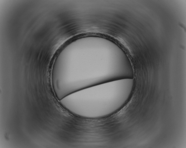 X0000097750879200803070840