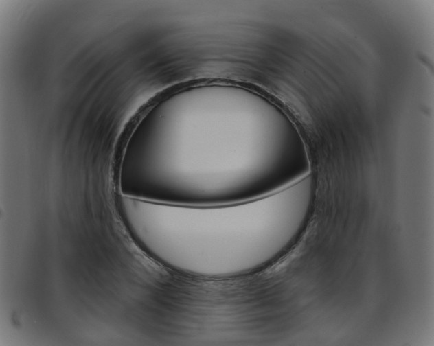 X0000097750880200803070840