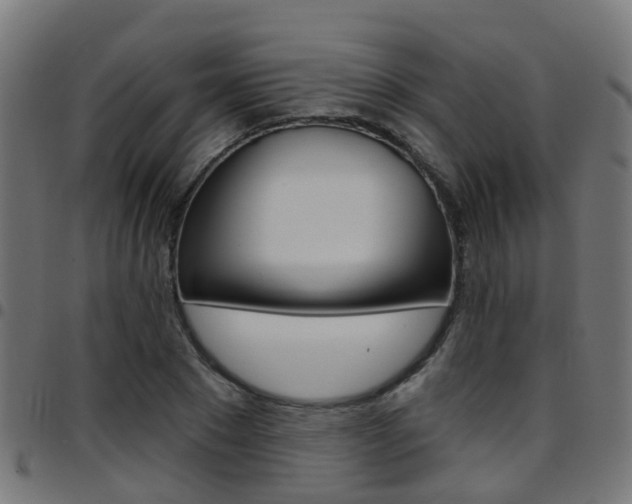 X0000097750881200803070840
