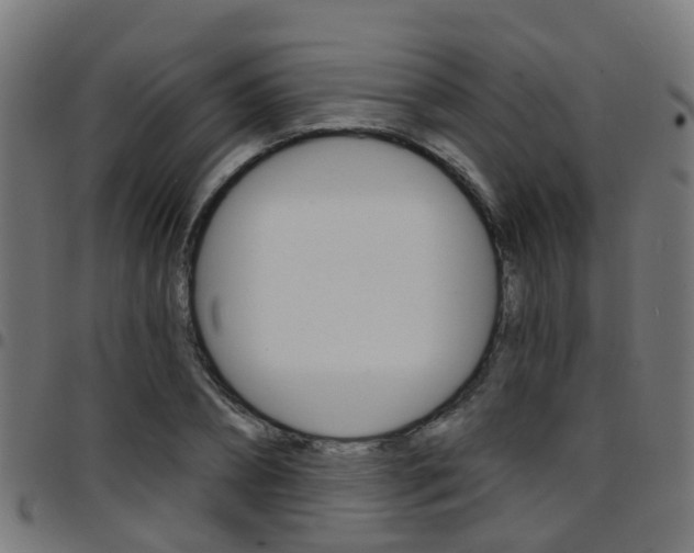 X0000097750882200803070840