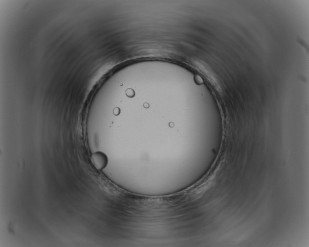 X0000097750883200803070839