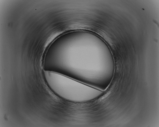 X0000097750885200803070839