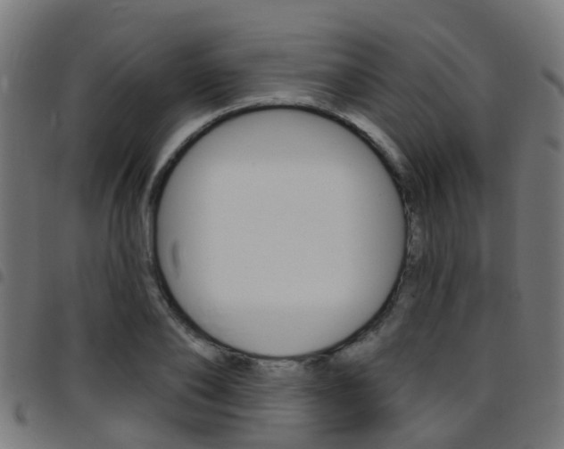 X0000097750886200803070839