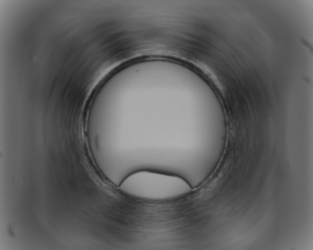X0000097750887200803070839