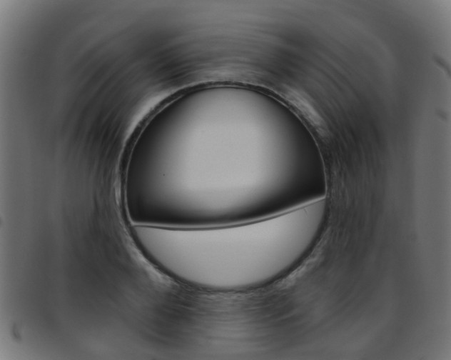 X0000097750888200803070839