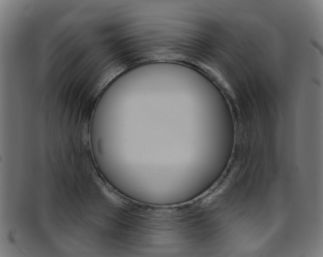 X0000097750889200803070839